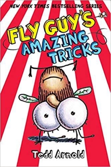 fly guy's amazing tricks book